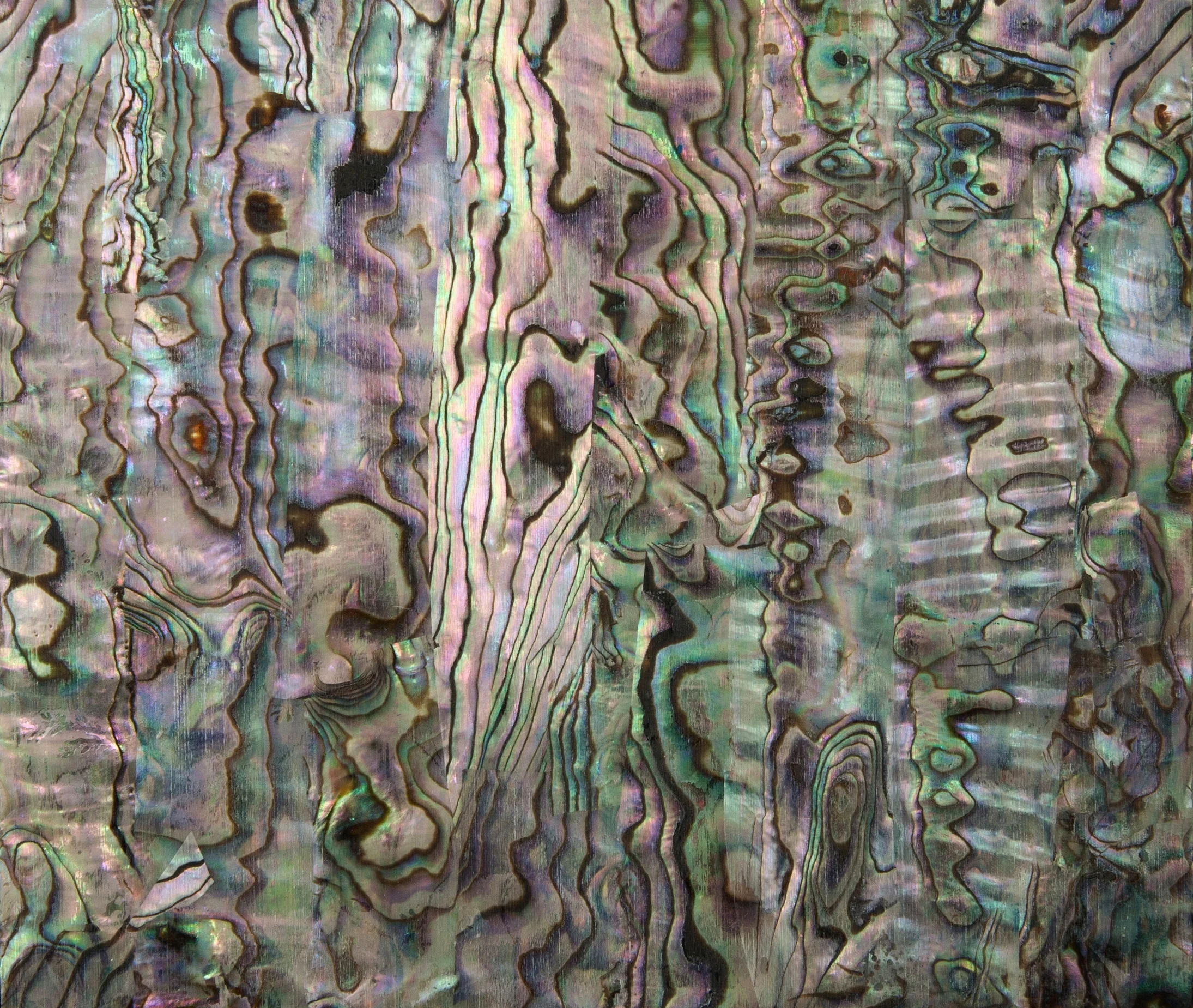 Select Green Abalone ZipFlex — Advanced Shell Technology